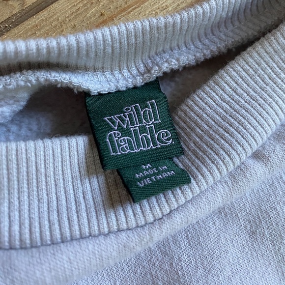 Wild Fable | Cropped Light Grey Sweatshirt - Picture 4 of 5